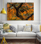 Golden Ratio by Junhao Wang on GIANT ART - orange botanical orange