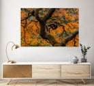 Golden Ratio by Junhao Wang on GIANT ART - orange botanical orange
