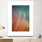 Seabed by Javier Pardina on GIANT ART - photography abstract art