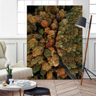 Autumn's Winding Path by Javier Pardina on GIANT ART - forest landscape  forest