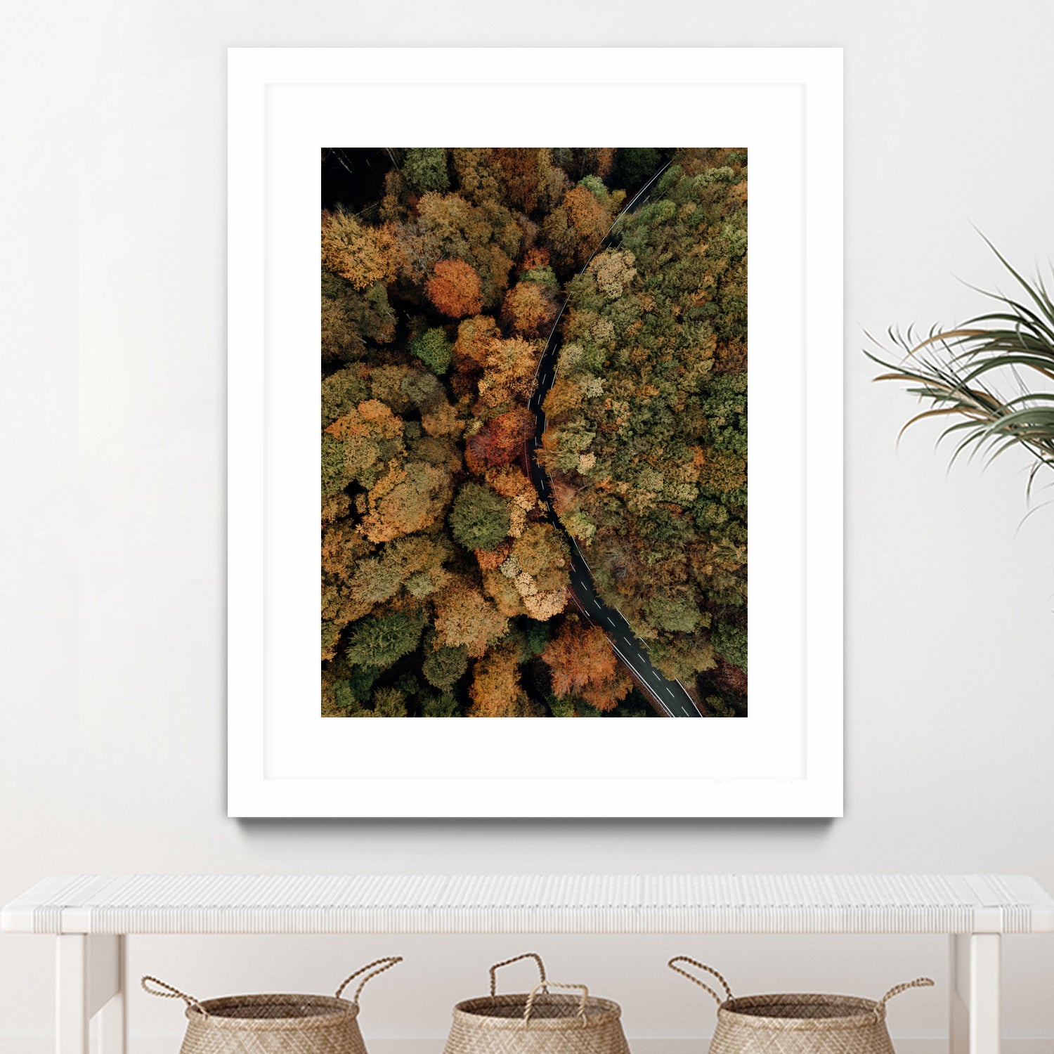 Autumn's Winding Path by Javier Pardina on GIANT ART - forest landscape  forest