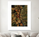Autumn's Winding Path by Javier Pardina on GIANT ART - forest landscape  forest