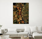Autumn's Winding Path by Javier Pardina on GIANT ART - forest landscape  forest