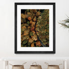 Autumn's Winding Path by Javier Pardina on GIANT ART - forest landscape  forest
