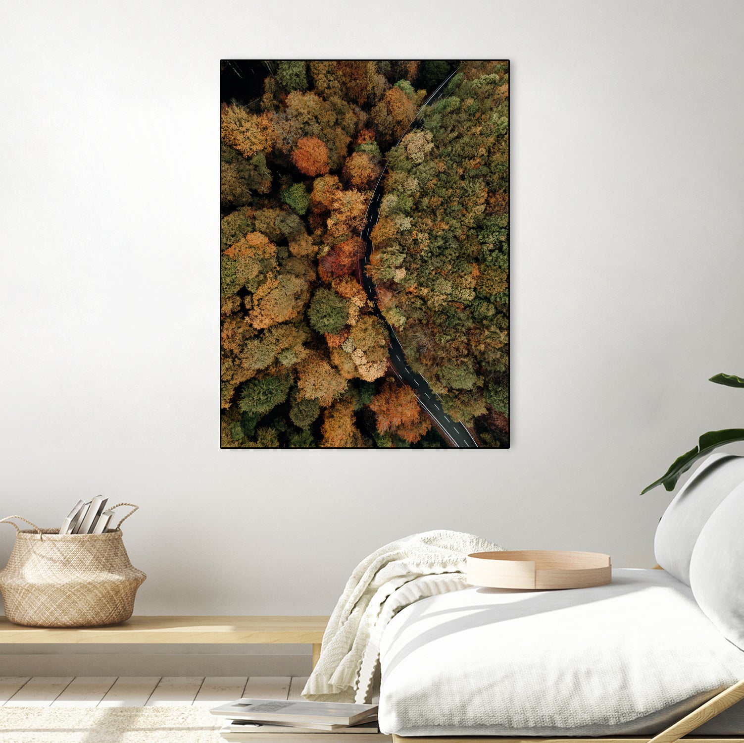 Autumn's Winding Path by Javier Pardina on GIANT ART - forest landscape  forest