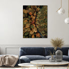 Autumn's Winding Path by Javier Pardina on GIANT ART - forest landscape  forest