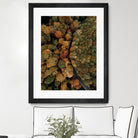 Autumn's Winding Path by Javier Pardina on GIANT ART - forest landscape  forest