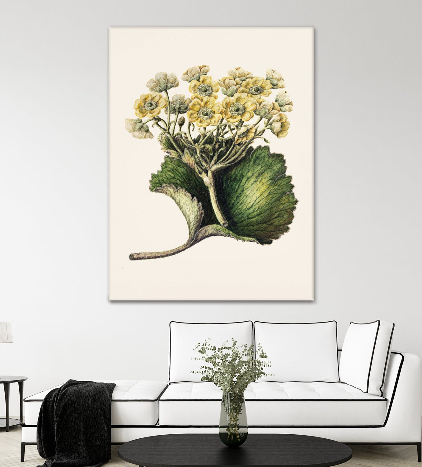 Korikor Drawn By Sarah Featon (1848a¬Ä¬ì1927 by Sarah Featon on GIANT ART - flowers and plants vintage botanical