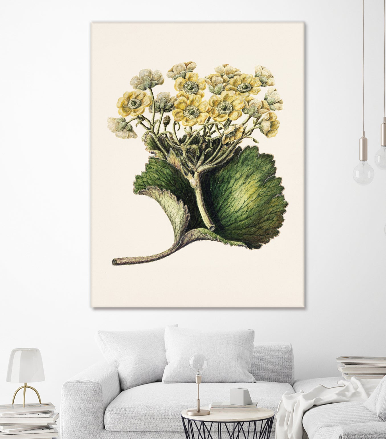 Korikor Drawn By Sarah Featon (1848a¬Ä¬ì1927 by Sarah Featon on GIANT ART - flowers and plants vintage botanical