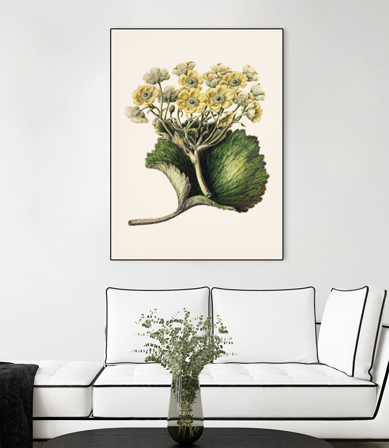 Korikor Drawn By Sarah Featon (1848a¬Ä¬ì1927 by Sarah Featon on GIANT ART - flowers and plants vintage botanical