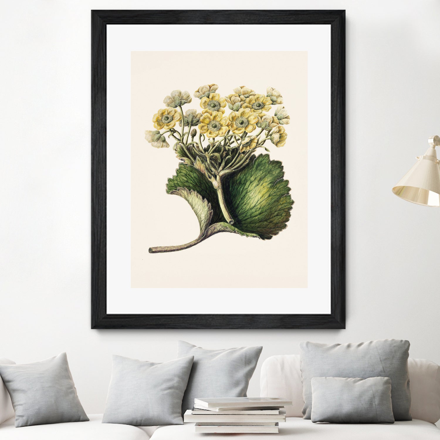 Korikor Drawn By Sarah Featon (1848a¬Ä¬ì1927 by Sarah Featon on GIANT ART - flowers and plants vintage botanical