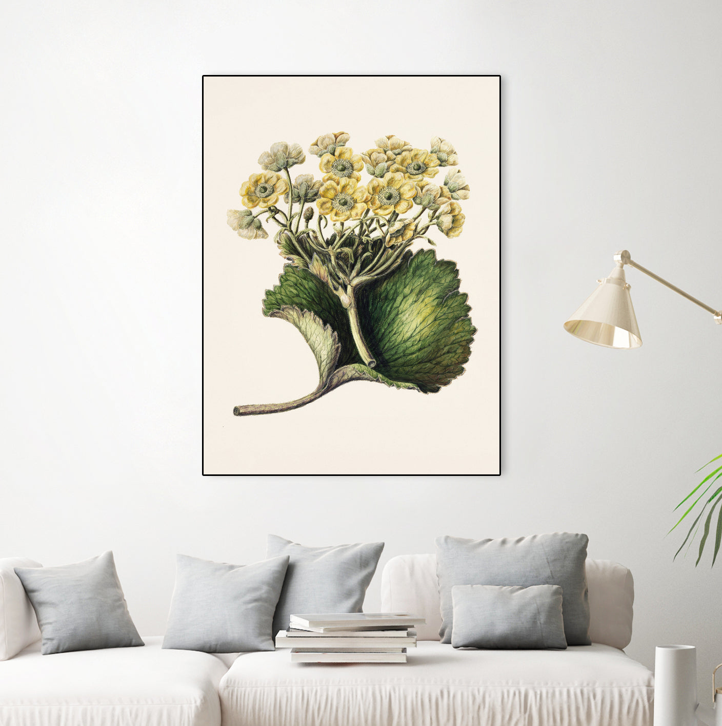 Korikor Drawn By Sarah Featon (1848a¬Ä¬ì1927 by Sarah Featon on GIANT ART - flowers and plants vintage botanical