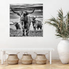 le trio by Stephane Pecqueux on GIANT ART - trois animal trois