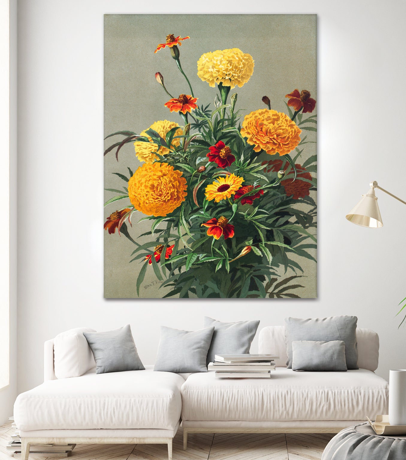 Marigolds by Ellen Thayer Fisher on GIANT ART - illustration ellen thayer fisher