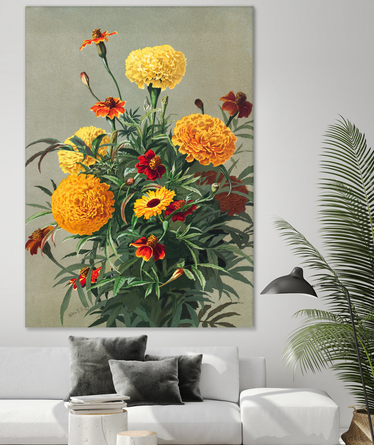 Marigolds by Ellen Thayer Fisher on GIANT ART - illustration ellen thayer fisher