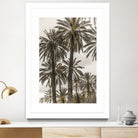 Sicilian Memories 17 by Mareike Bohmer on GIANT ART -  botany