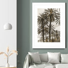 Sicilian Memories 17 by Mareike Bohmer on GIANT ART -  botany