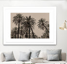Sicilian Memories 15 by Mareike Bohmer on GIANT ART -  palm