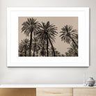 Sicilian Memories 15 by Mareike Bohmer on GIANT ART -  palm