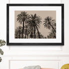 Sicilian Memories 15 by Mareike Bohmer on GIANT ART -  palm