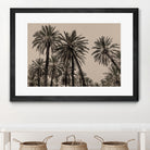 Sicilian Memories 15 by Mareike Bohmer on GIANT ART -  palm