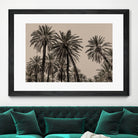Sicilian Memories 15 by Mareike Bohmer on GIANT ART -  palm