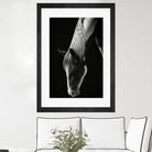 Quiet Strength by Frank Ma on GIANT ART - horse photography horse