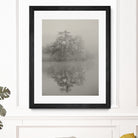 Swan lake by By PEJ on GIANT ART -  botanical 