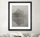 Swan lake by By PEJ on GIANT ART -  botanical 