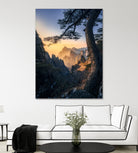 Forests towering over endless mountains by Yuan Cui on GIANT ART -  photography 