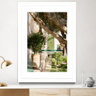 Le Jardin Secret by Henrike Schenk on GIANT ART - marrakech botanical marrakech