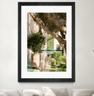 Le Jardin Secret by Henrike Schenk on GIANT ART - marrakech botanical marrakech