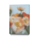 PUUID-PX3510405_GR2436