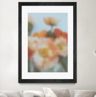 PUUID-PX3510405_MFB2432