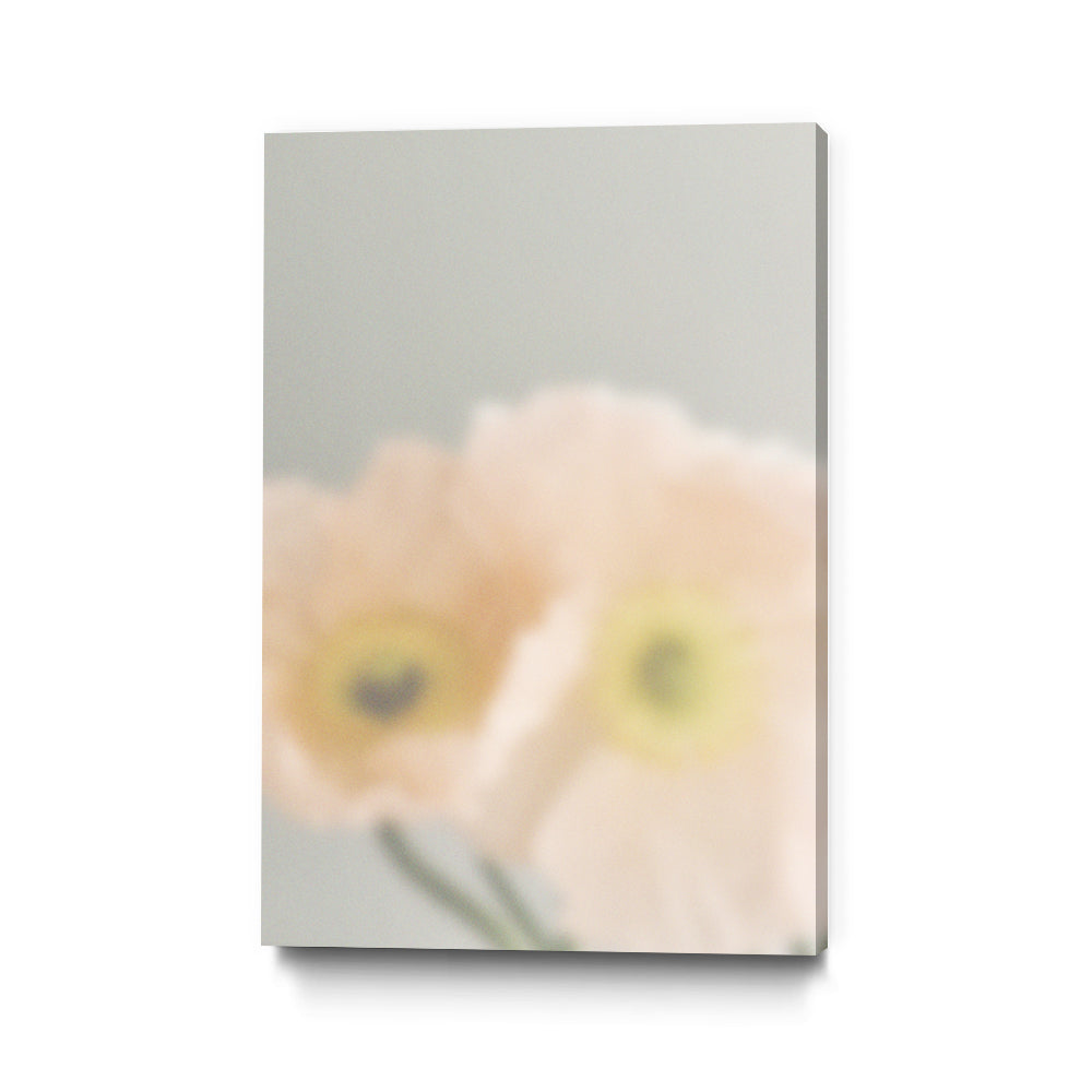 PUUID-PX3510407_GR2436