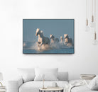 Angels of Camargue by Rostovskiy on GIANT ART - animals horse