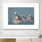 Angels of Camargue by Rostovskiy on GIANT ART - animals horse