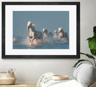 Angels of Camargue by Rostovskiy on GIANT ART - animals horse