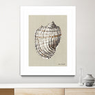 Shell on Burlap I by Lanie  Loreth on GIANT ART - coastal shell