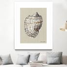 Shell on Burlap I by Lanie  Loreth on GIANT ART - coastal shell