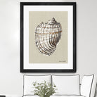 Shell on Burlap I by Lanie  Loreth on GIANT ART - coastal shell