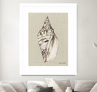 Shell on Burlap II by Lanie  Loreth on GIANT ART - coastal shell