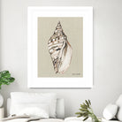 Shell on Burlap II by Lanie  Loreth on GIANT ART - coastal shell