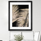 Neutral Palmas on Black I by Patricia  Pinto on GIANT ART - palms palmas