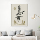 Lake Meditation l by Victoria Barnes on GIANT ART - animals nature birds