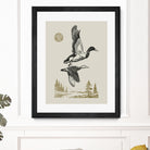 Lake Meditation l by Victoria Barnes on GIANT ART - animals nature birds