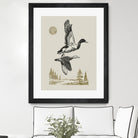 Lake Meditation l by Victoria Barnes on GIANT ART - animals nature birds