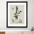 Lake Meditation l by Victoria Barnes on GIANT ART - animals nature birds