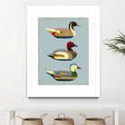 Decoy Ducks I by June Erica Vess on GIANT ART - animals nature birds