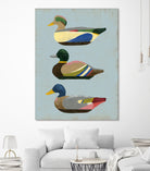 Decoy Ducks II by June Erica Vess on GIANT ART - animals nature birds